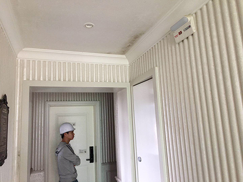 EPS線條裝飾